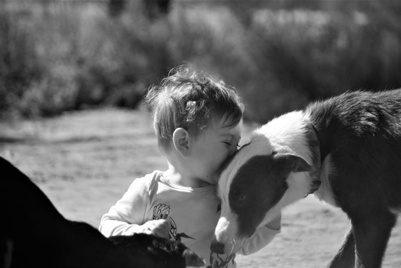 St George, Queensland. Photo: Kathryn Ecroyd