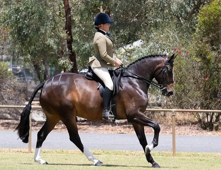 Zoe Starkey and Carona Park Hugo Boss. Photo: The Regional