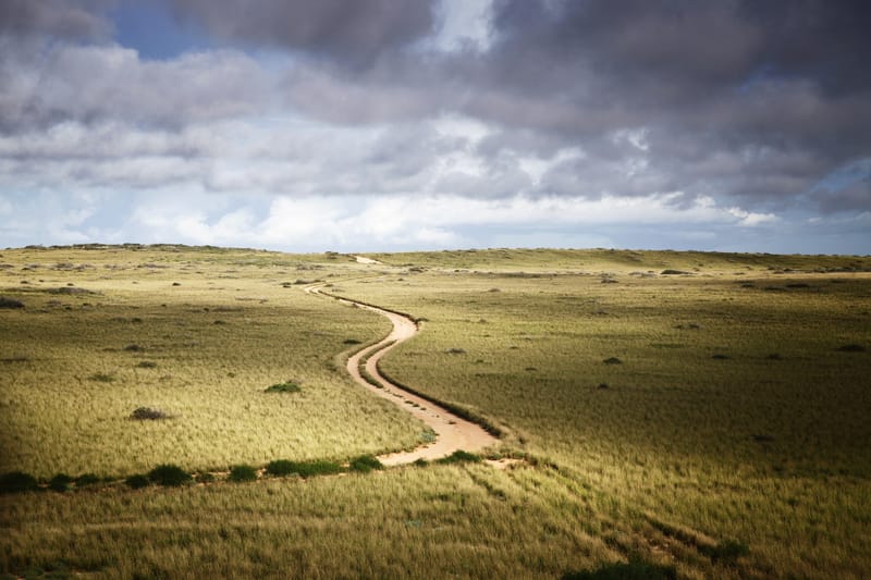 Outback WA