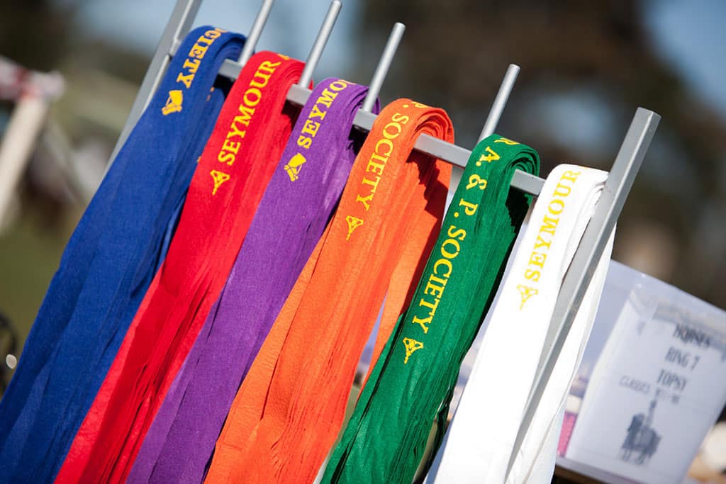 Seymour Show ribbons