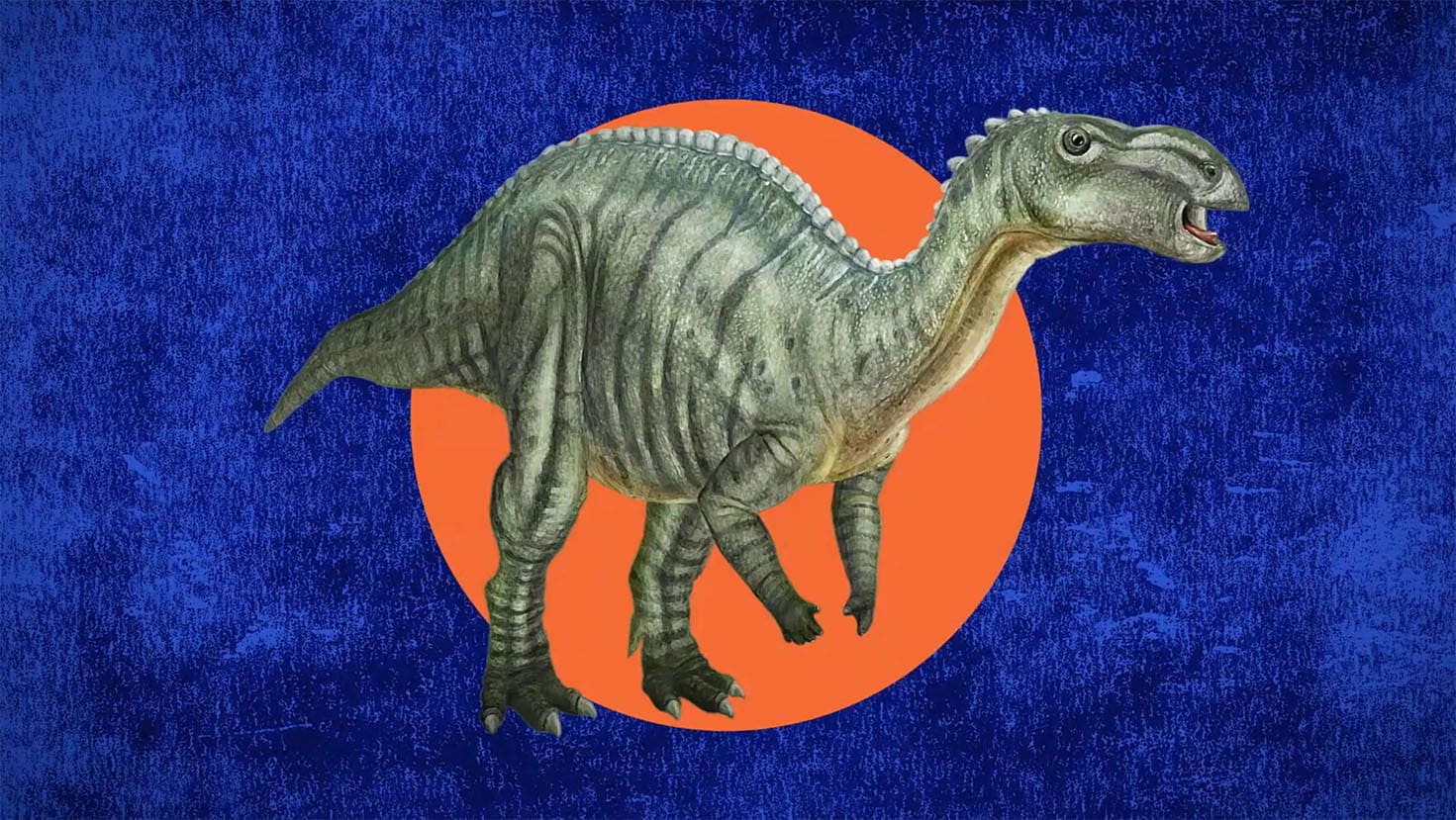 Muttaburrasaurus
