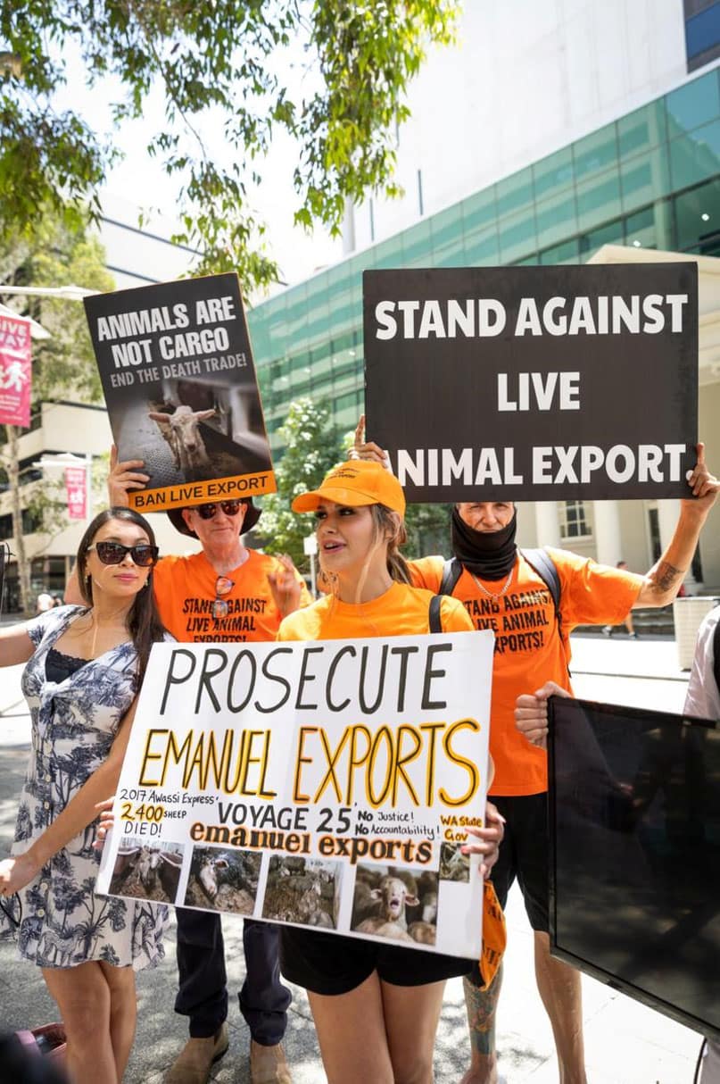 Anti live export protest