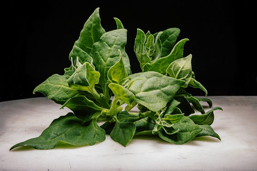 Warrigal Greens