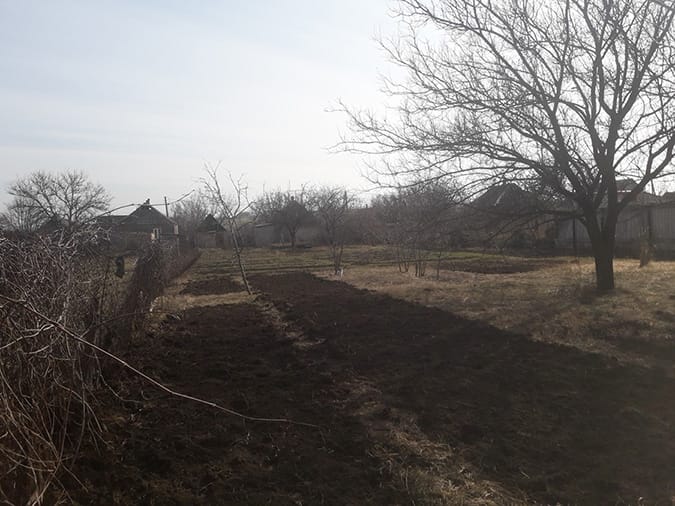 Land for planting vegetables