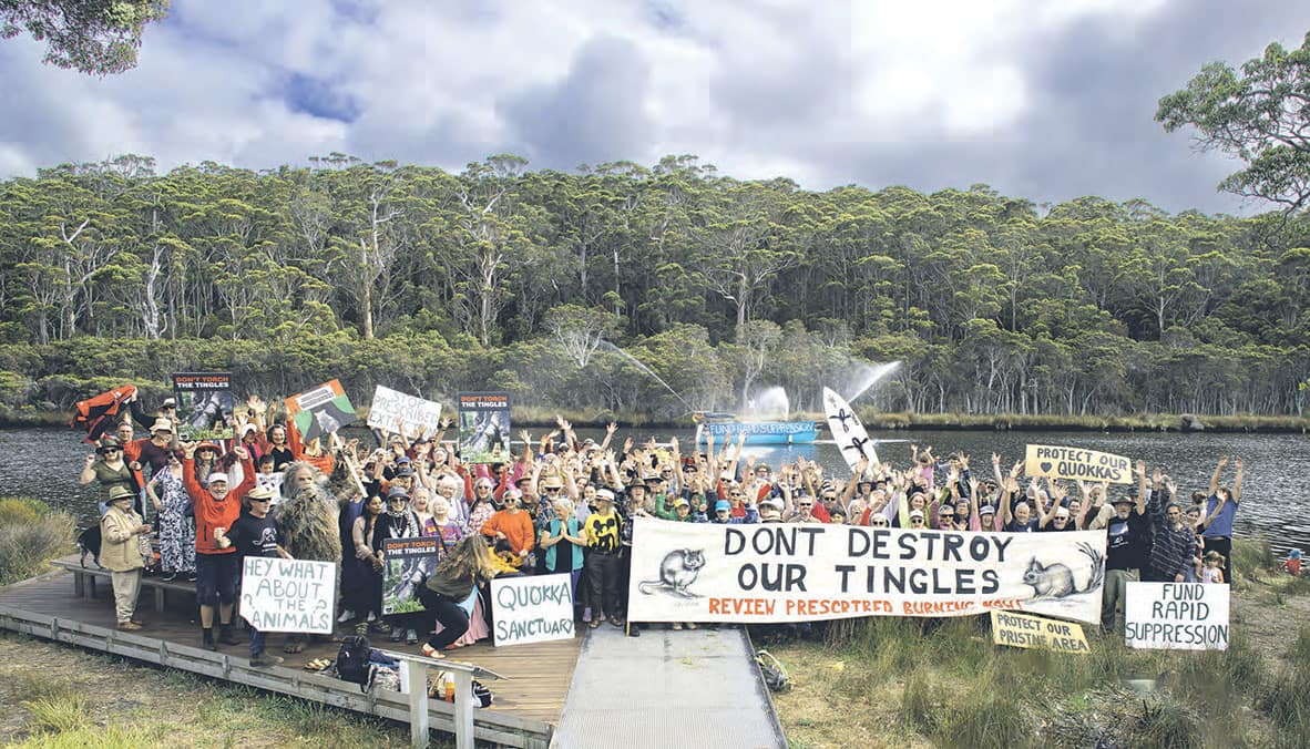 Tingle burn protestors