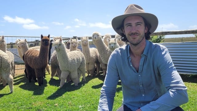 Brett Falon and alpacas