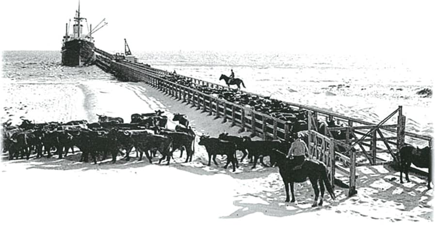 Robbs Jetty