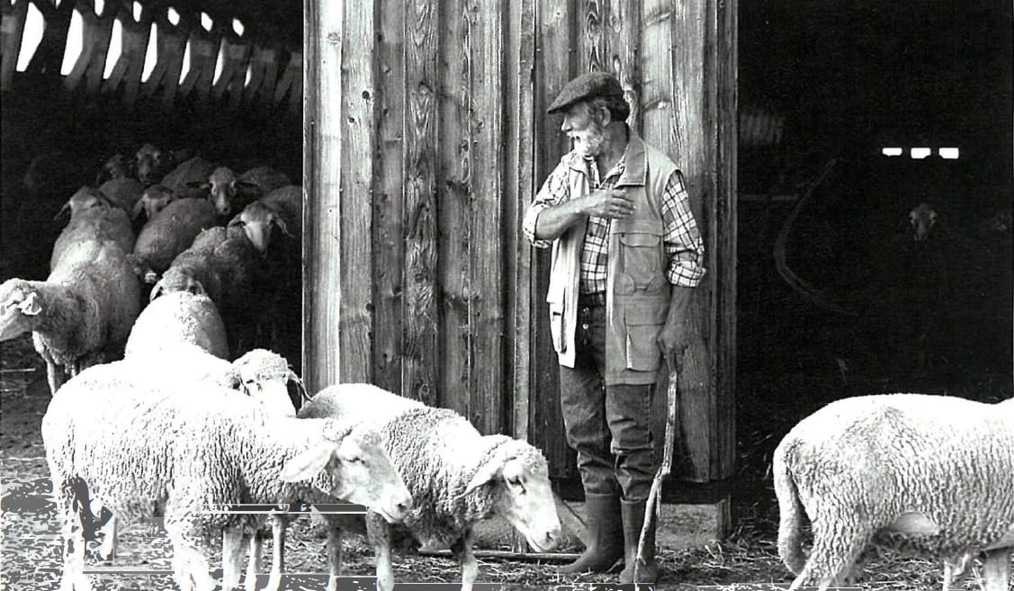 Sheep farmer