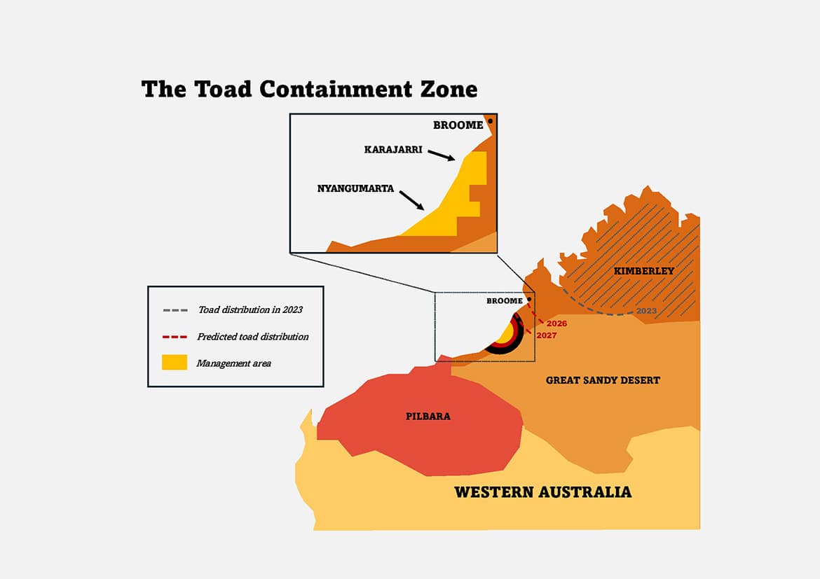Toad containment zone map
