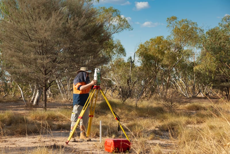 Surveyor