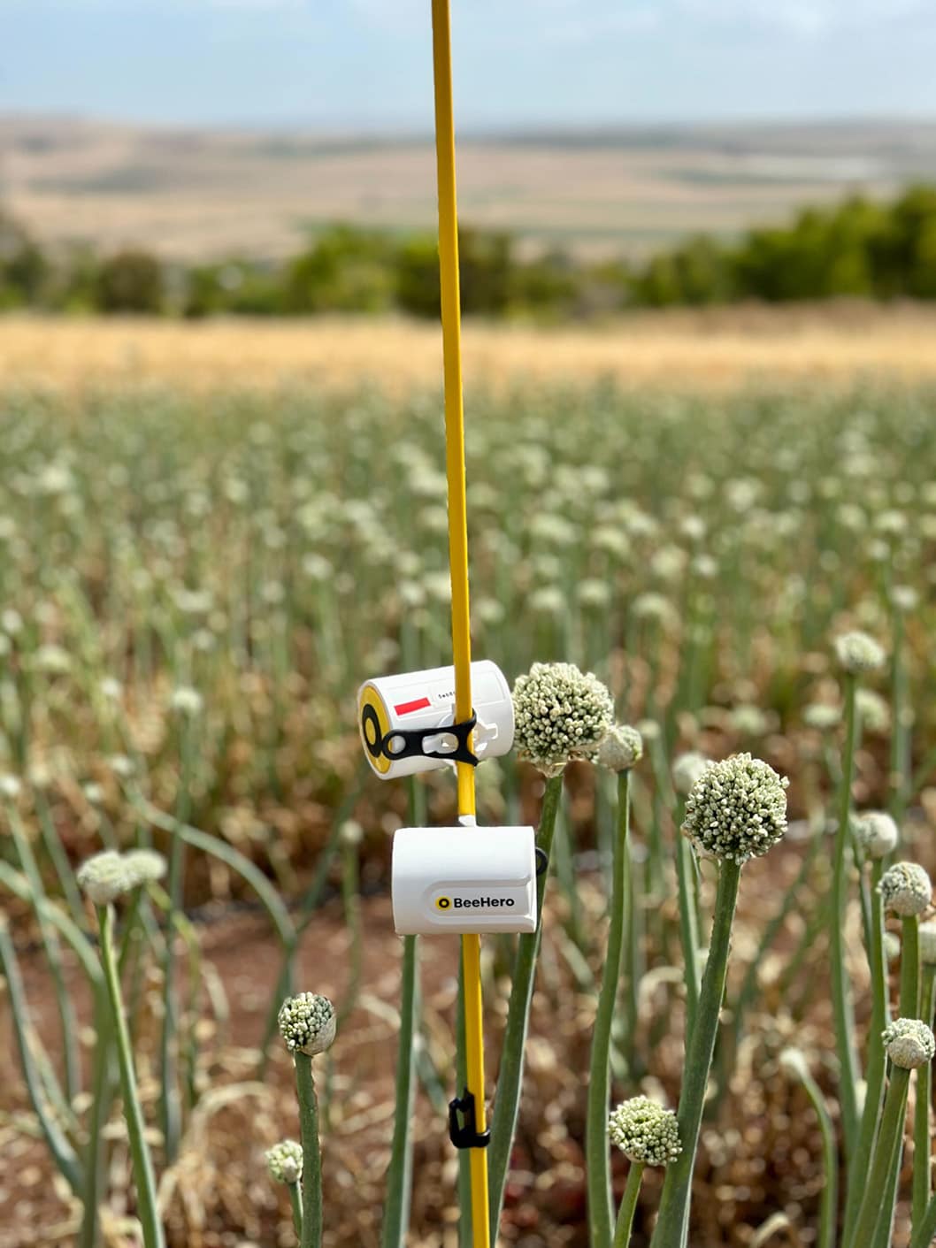 BeeHero PIP 2.0