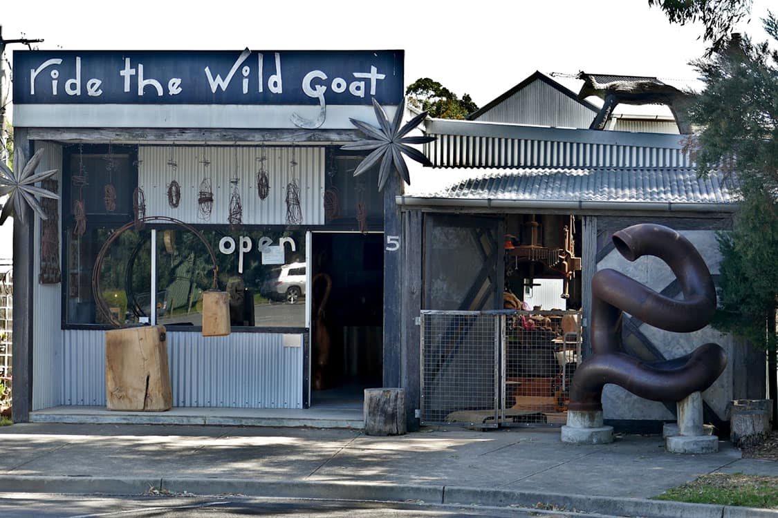 Ride the Wild Goat