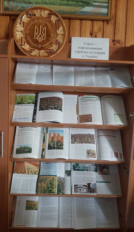 Ukraine library