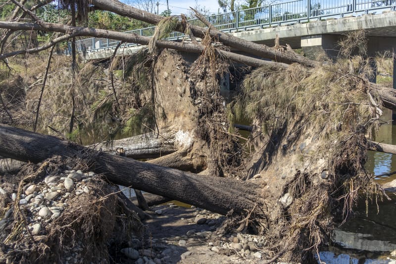 After the flood