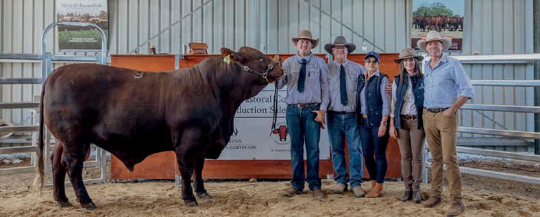 Santa Gertrudis