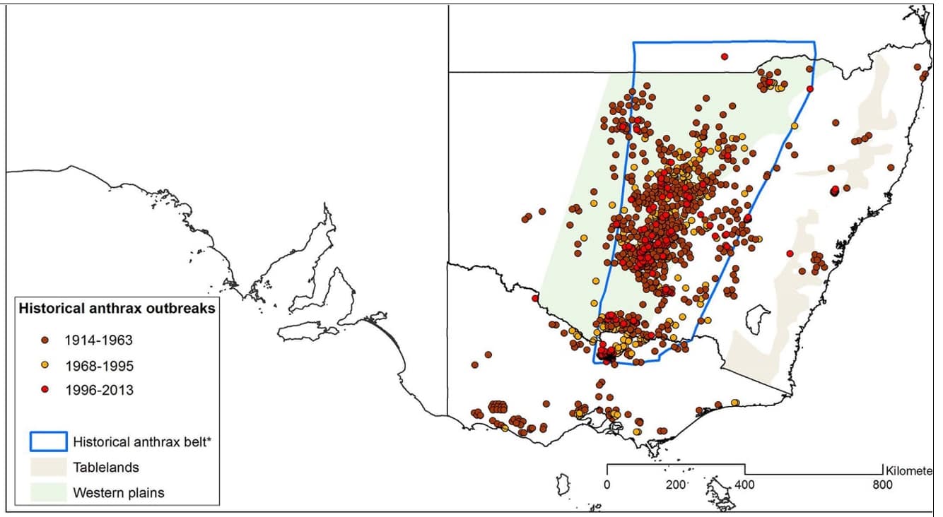 Anthrax outbreaks