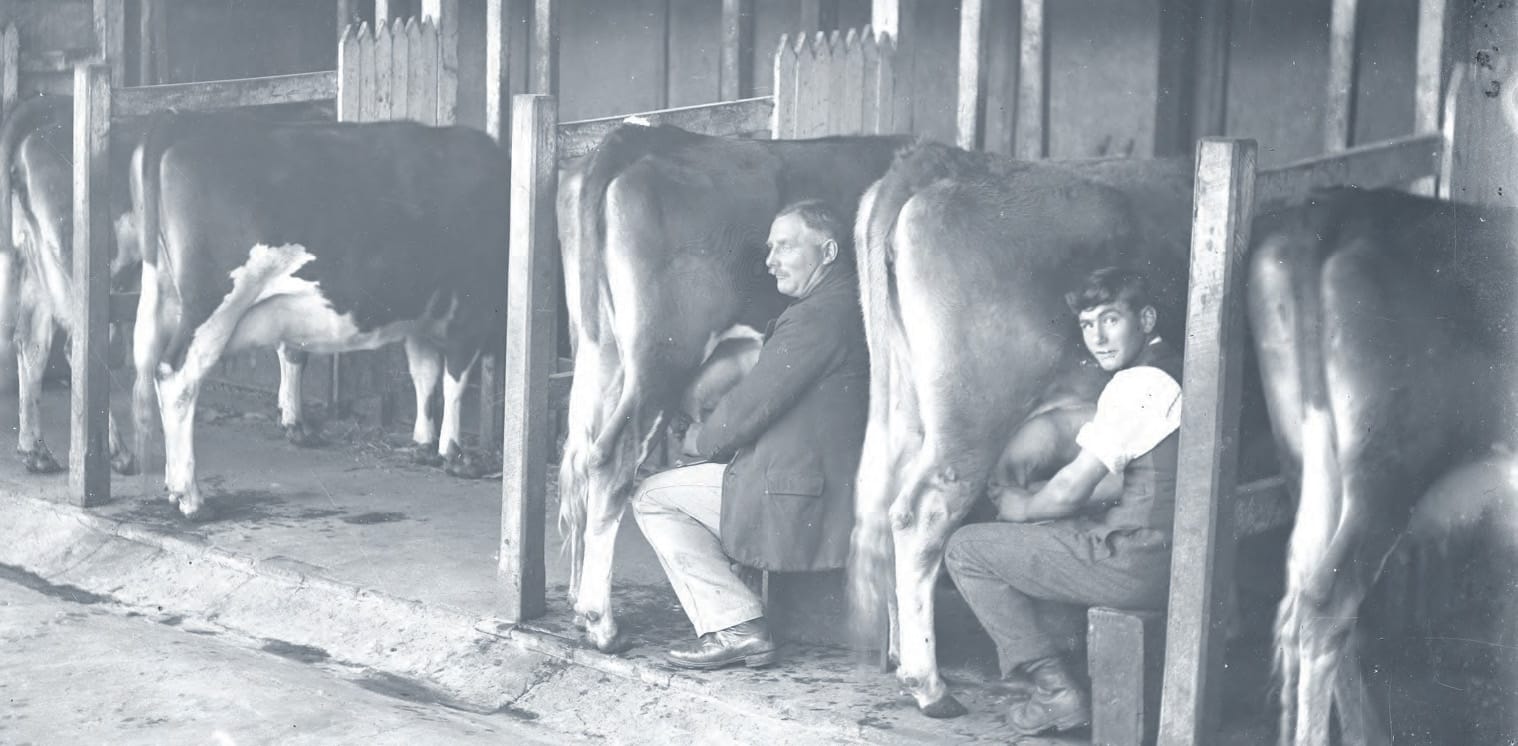 State farm 1912