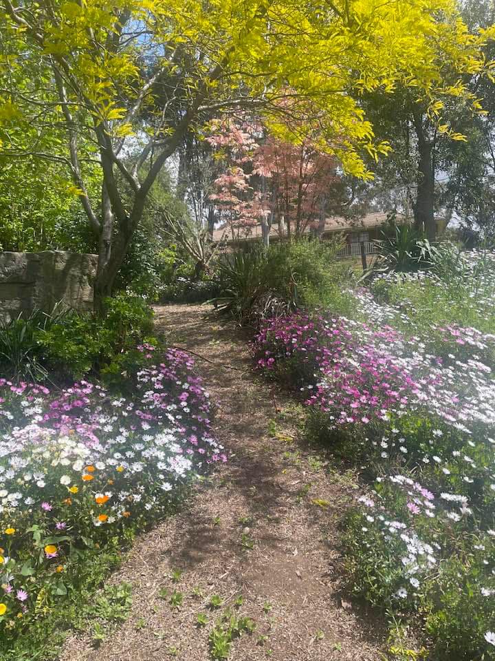 Fran's garden