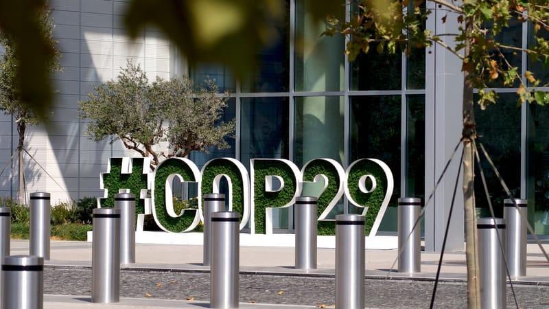 COP 29