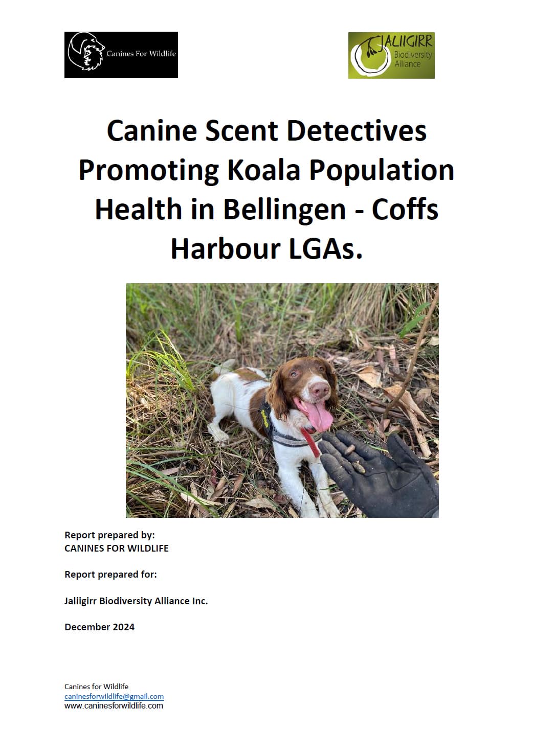 Report cover