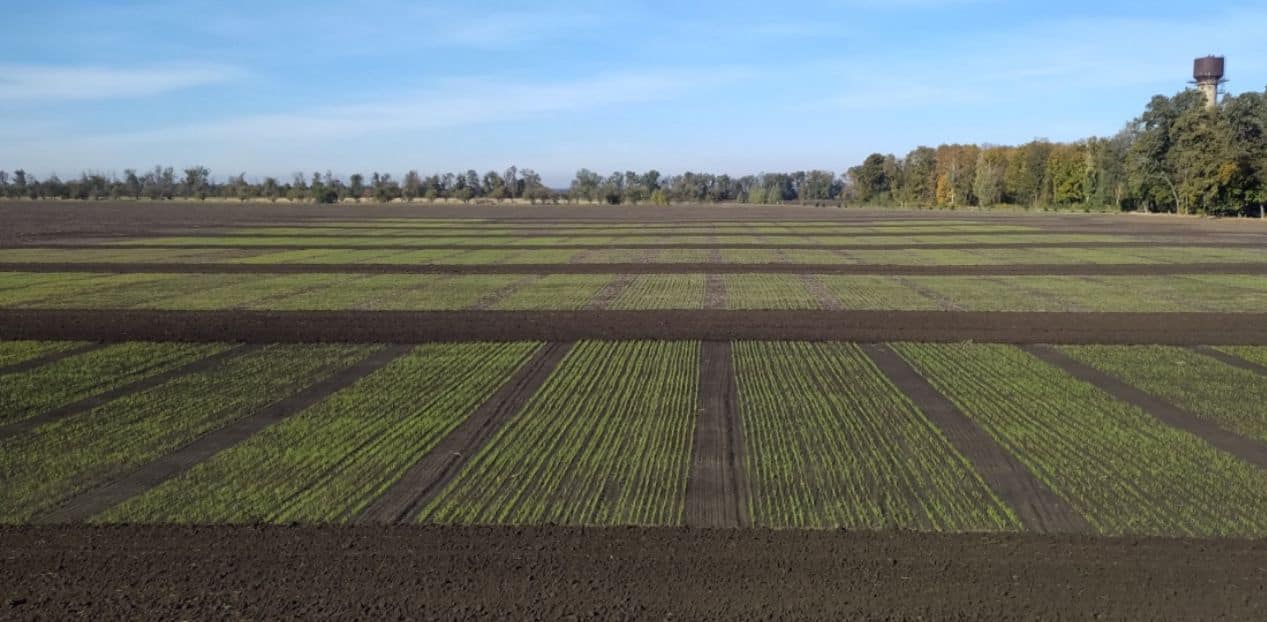 Ukraine farmland