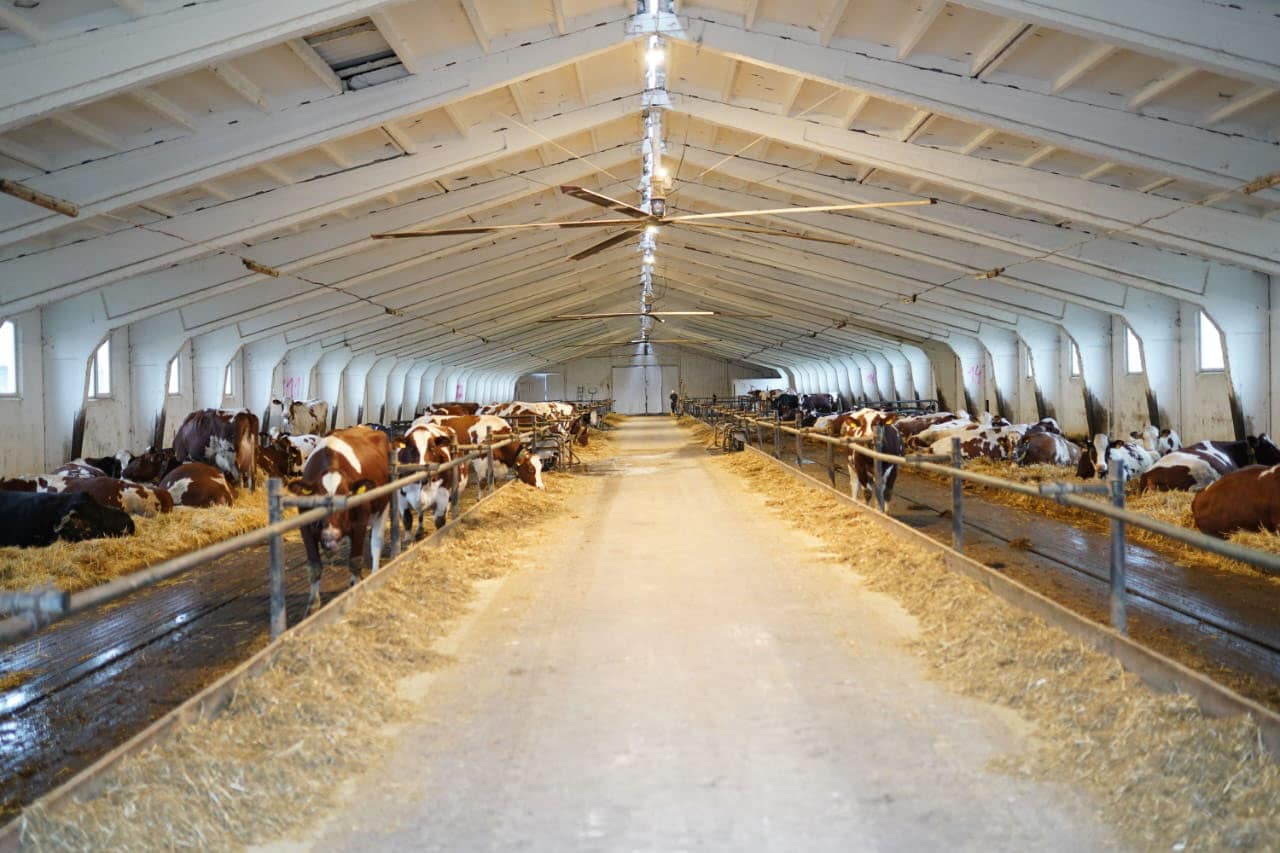 Ukrainian dairy