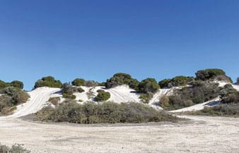 Dune erosion
