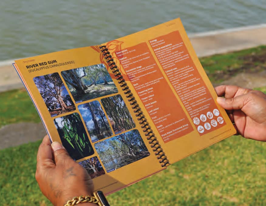 Guidebook