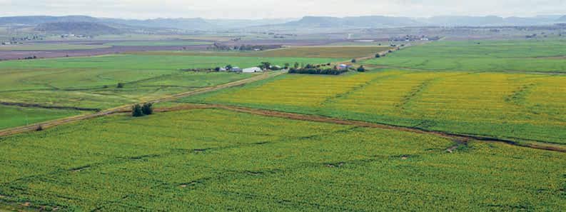 Southern Downs