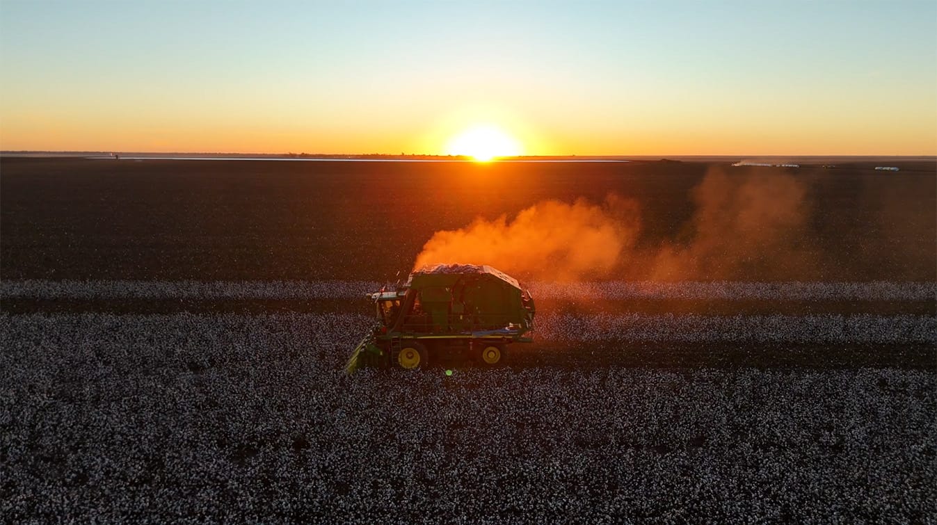 Cotton country