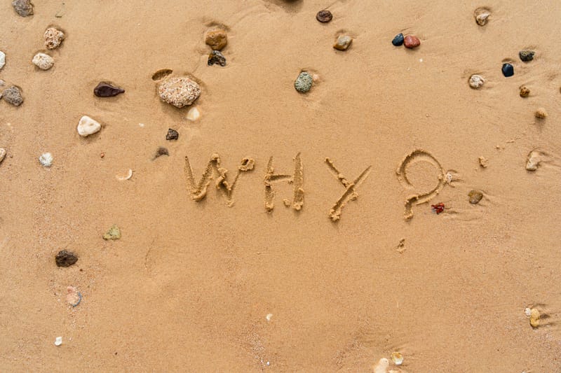 Why?