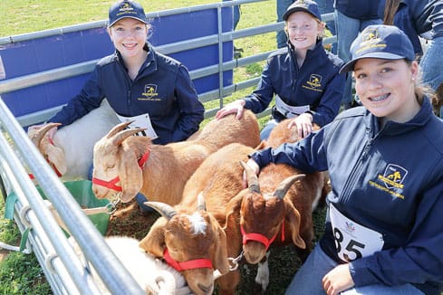 Copper Coast Show
