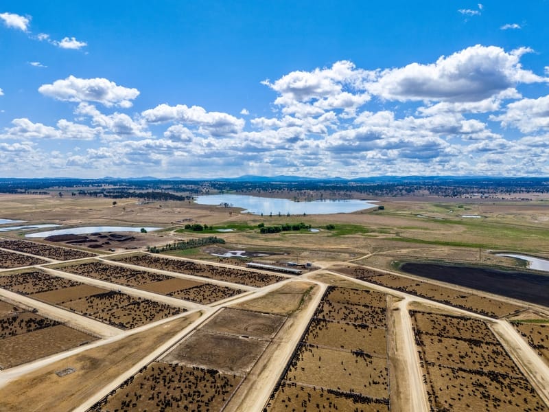 Feedlot Glen Innes