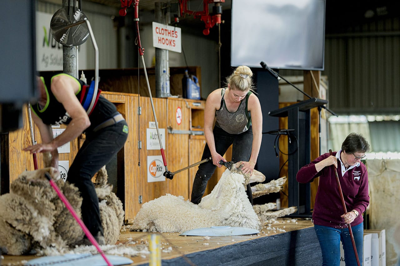 Shearing