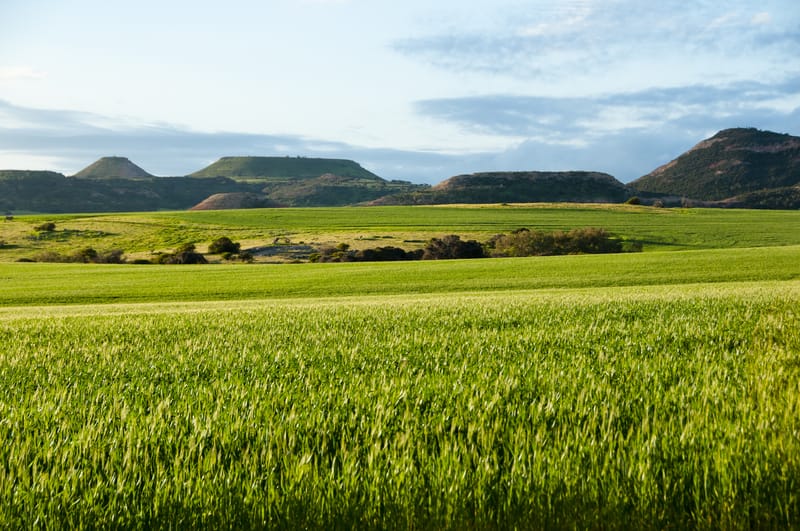 wheatfield WA