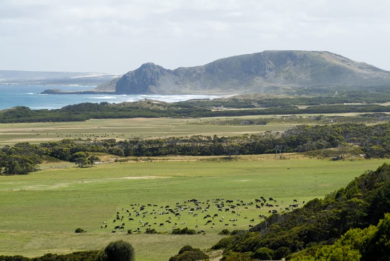 Tasmania farmland