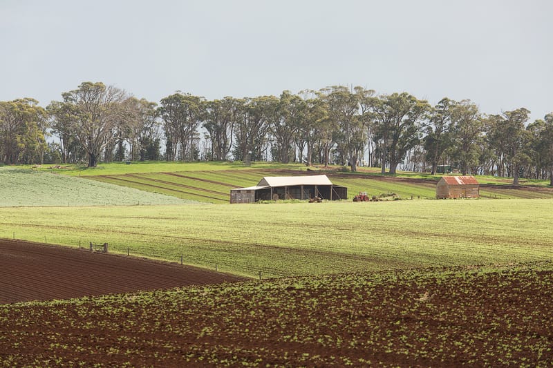 Tasmanian farmland