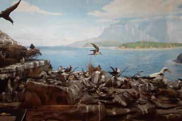 Allan McCulloch painting