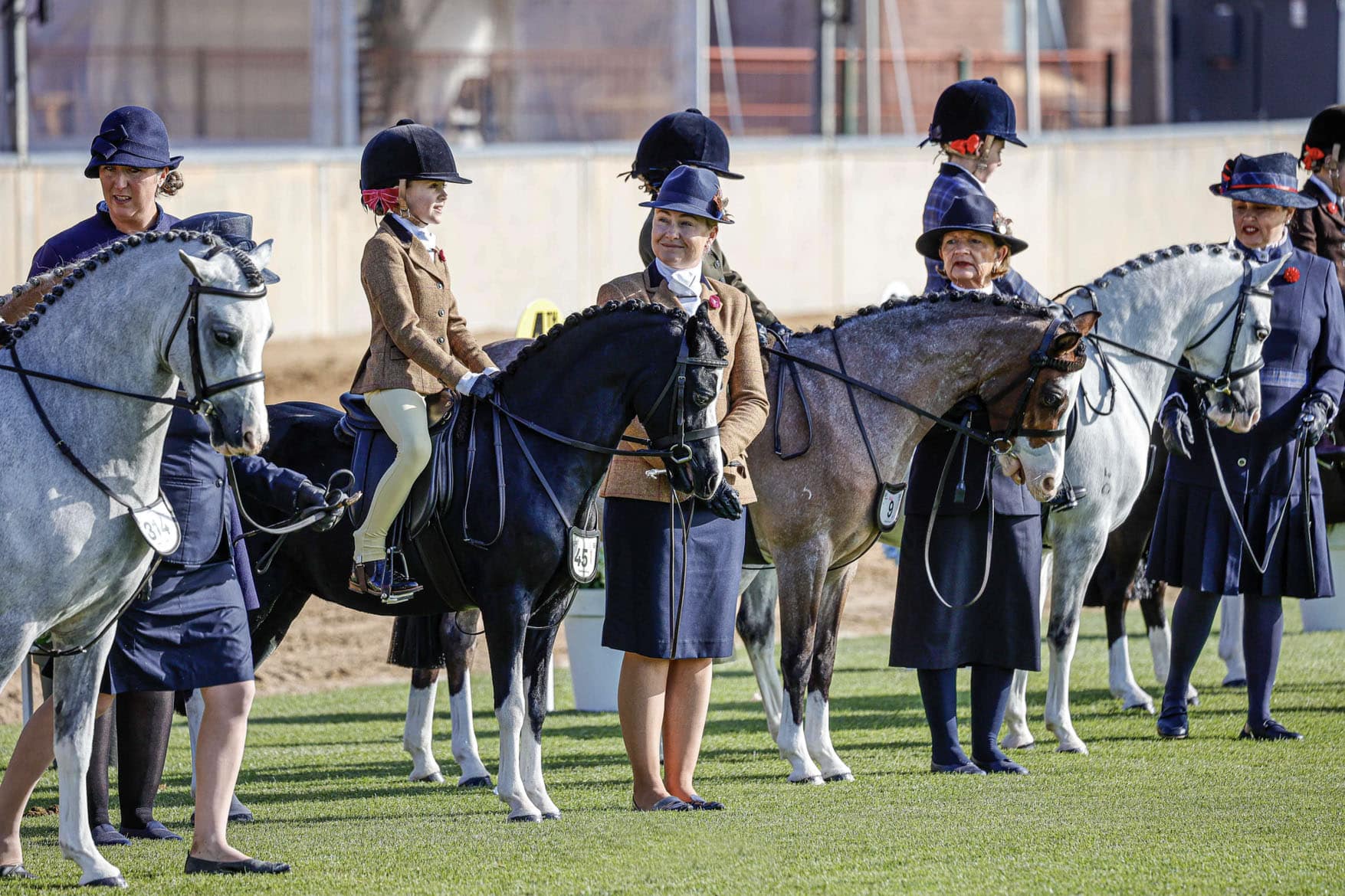 Children on ponies