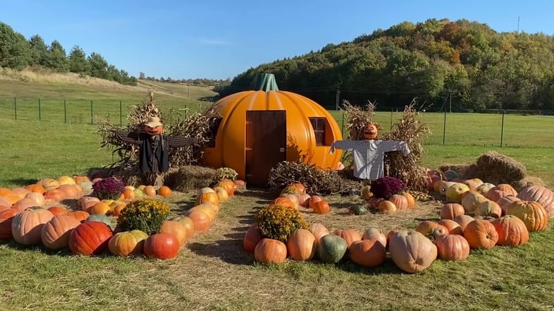 Pumpkin house