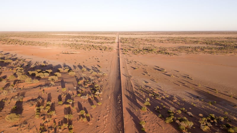 Dingo fence