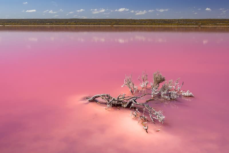 Pink Lake, Hutt Lagoon near Port Gregory WA