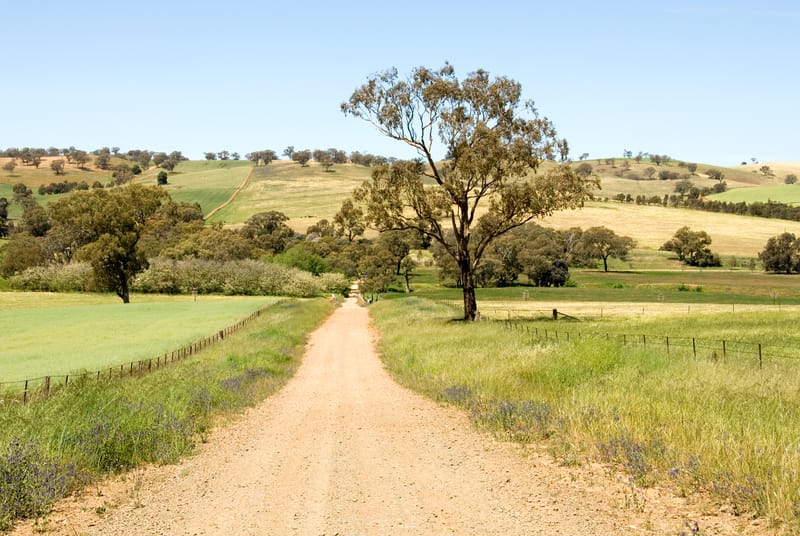 Farmland