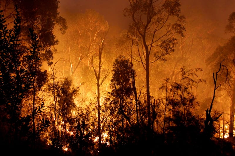 Fire in national park