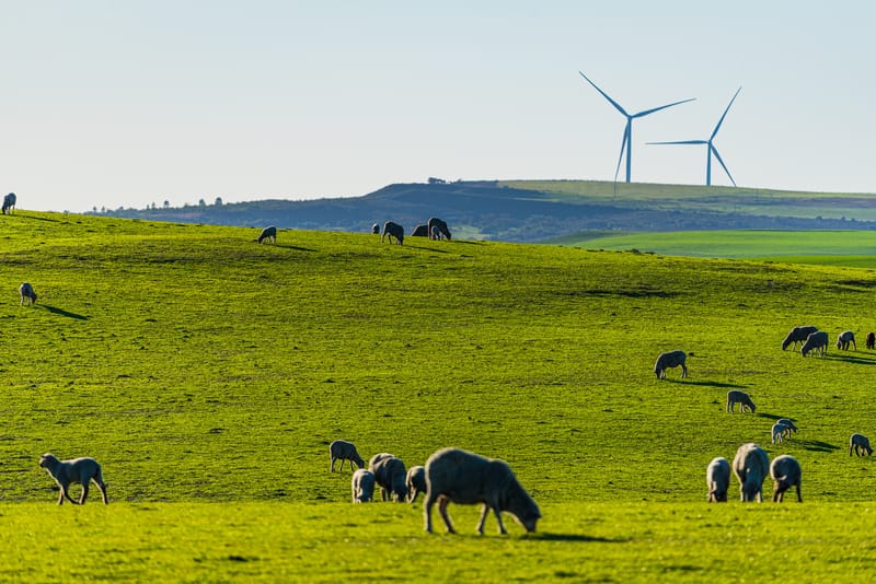 wind farm WA