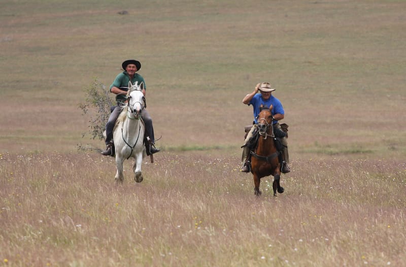 Horse riders