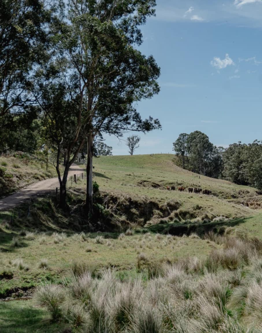 East Gippsland