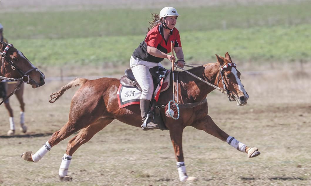 Polocrosse
