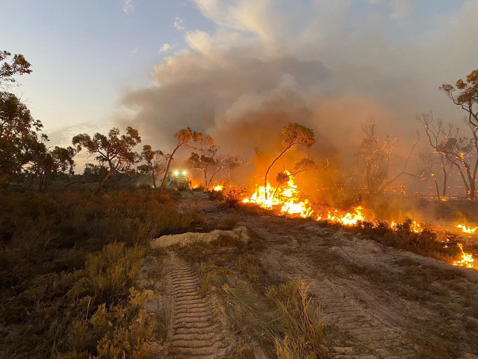 Victorian fires