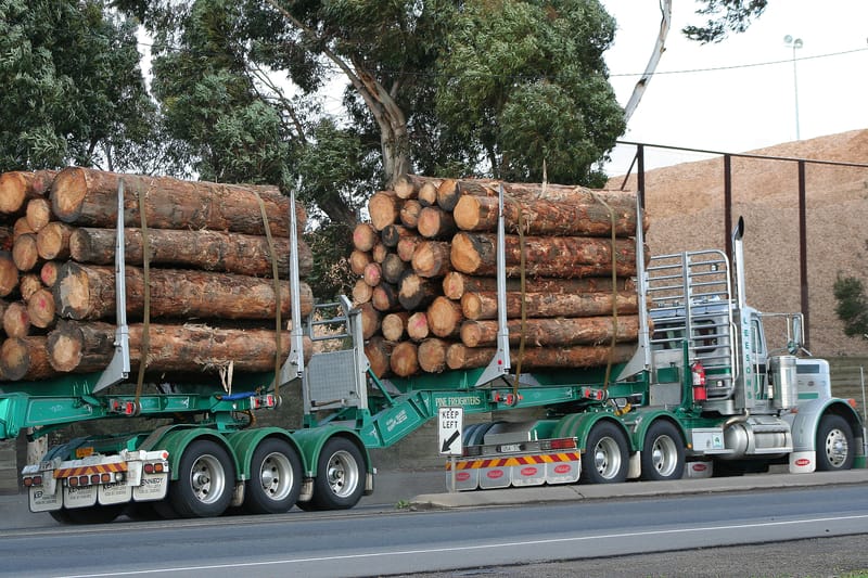 Timber truck